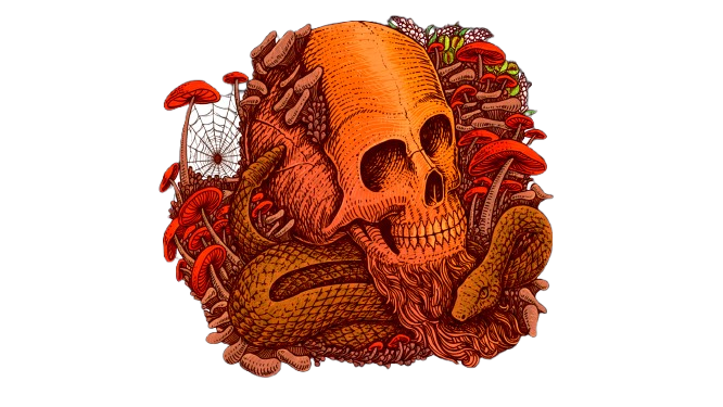 darkened skull 2.5.1 removebg preview